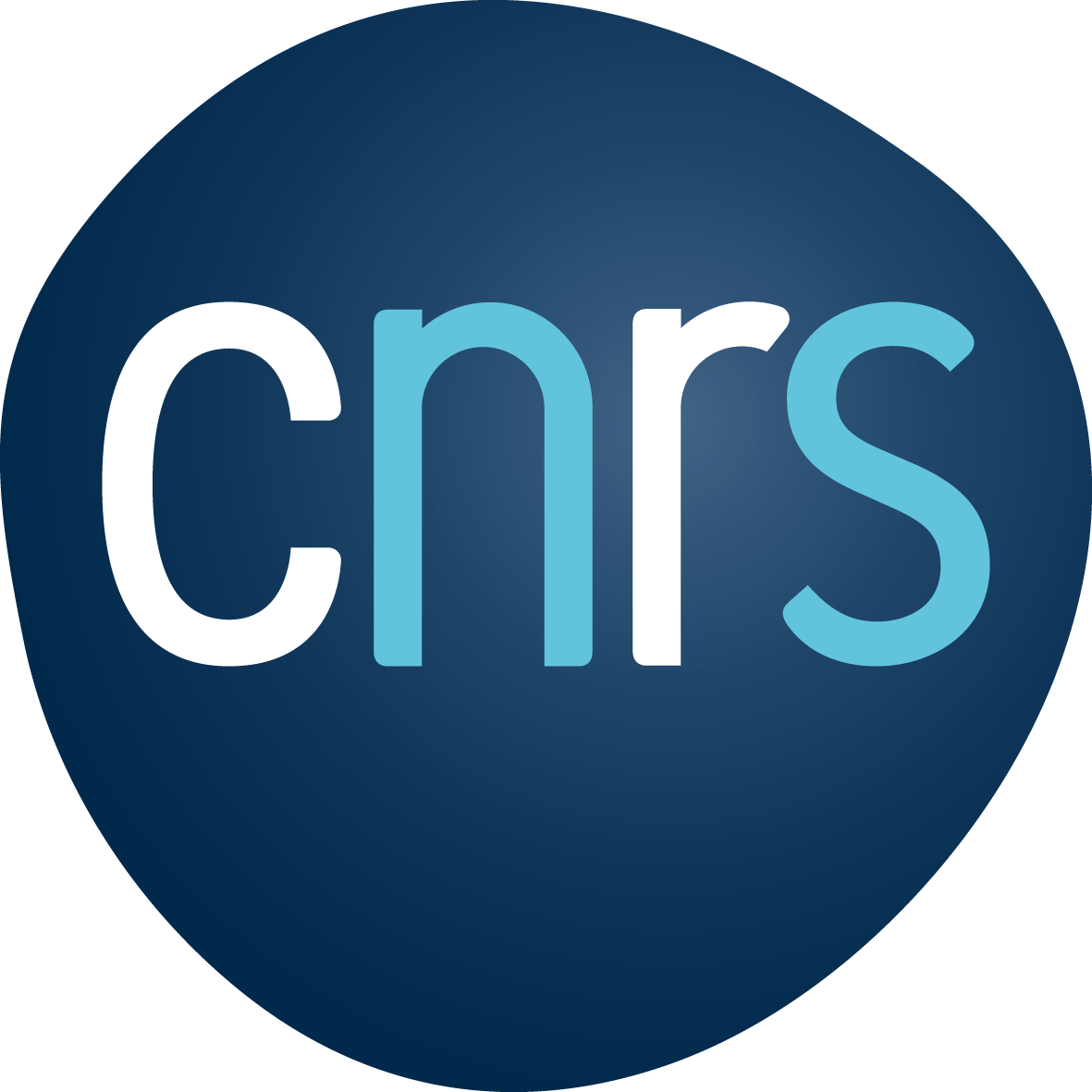 logo_CNRS_1.png